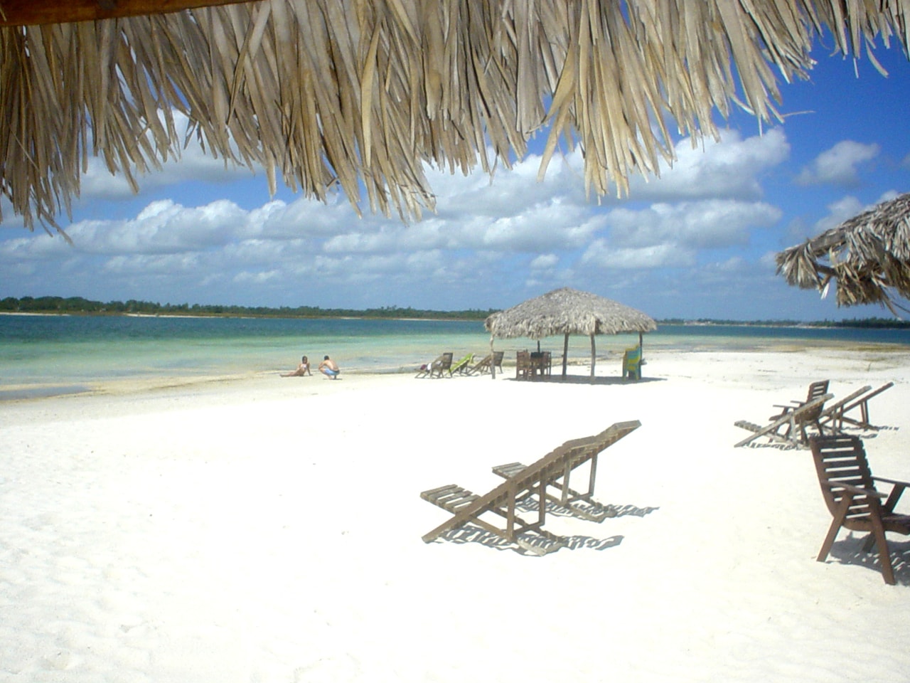 adeira-anfíbia-banho-mar